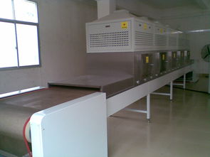 廣東福滔 微波牛肉干燥殺菌機(jī)廠(chǎng)家直銷(xiāo)，以卓越品質(zhì)引領(lǐng)行業(yè)標(biāo)準(zhǔn)